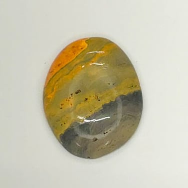 Bumblebee Jasper