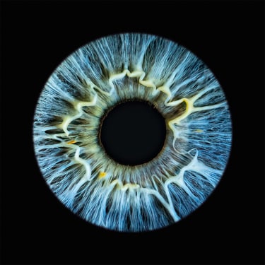 a-eye gallery