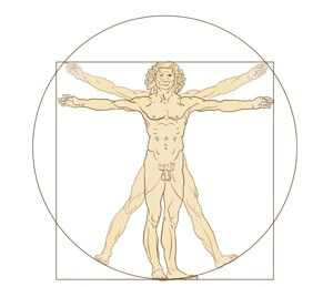 a man's golden ratiotrical drawing of a man's body