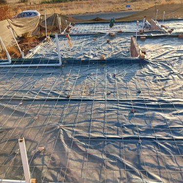 Foundation pour preparation, Krugersdorp, Gauteng