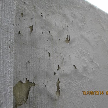 Assessing of damage due to water ingress, Johannesburg, Alberton