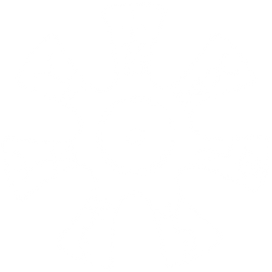 Курс по астрология