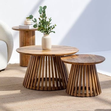 a coffee table set with a plant in a room