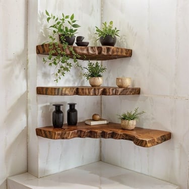a live edge wooden wall shelves with plants garnish on it