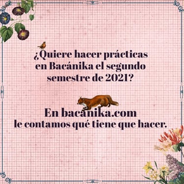 post instagram collage practicas