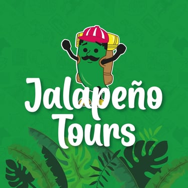 Seo agencia de tours