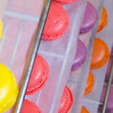 Photographie corporate en Vaucluse par Gilles Giordani