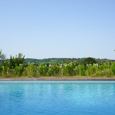 Photographie corporate en Vaucluse par Gilles Giordani