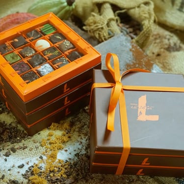 Photographie corporate en Vaucluse par Gilles Giordani