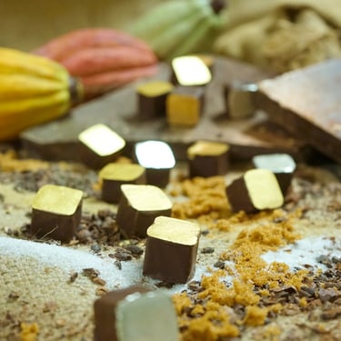 Photographie corporate en Vaucluse par Gilles Giordani