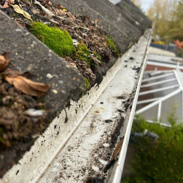 gutter cleared from weeds