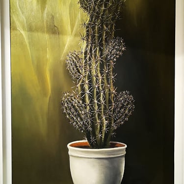 a cactus plant in a white frame with a yellow background