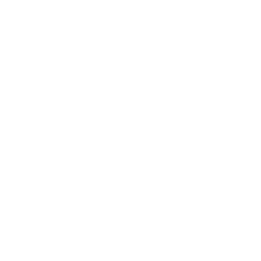 Icon Layanan Profesional