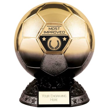 a soccer ball trophy trophy award