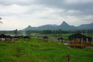harga kavling sawah bogor timur, nuansa alam golden view tanjungsari, investasi tanah bogor timur, sawah produktif panen 3 ka