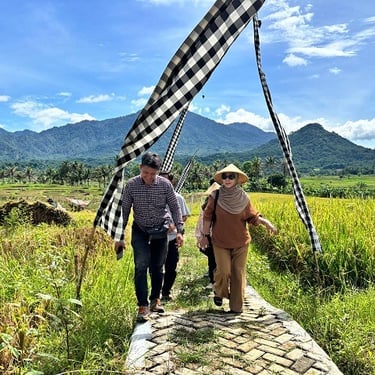 sawah produktif nuansa alam golden view