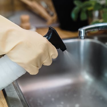 Kitchen Sink Cleaning