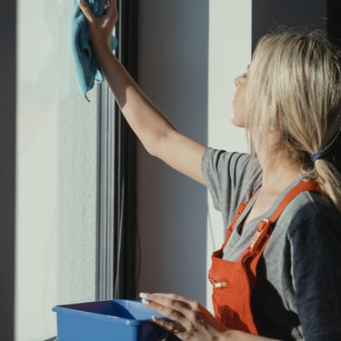 Window Glass Cleaning