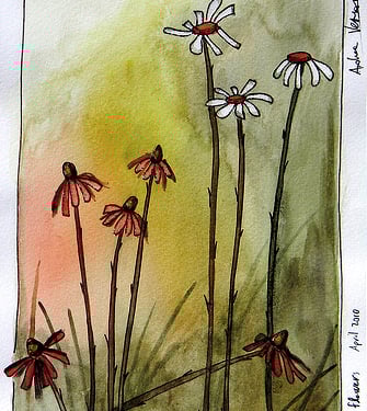 Whithered flowers