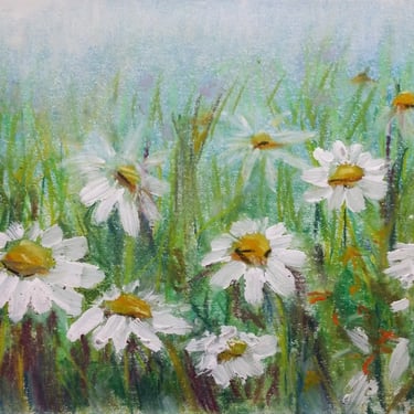 Early AM daisies
