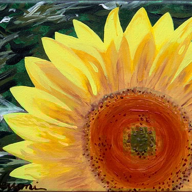 Sun Follower