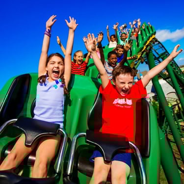 Roller coaster ride