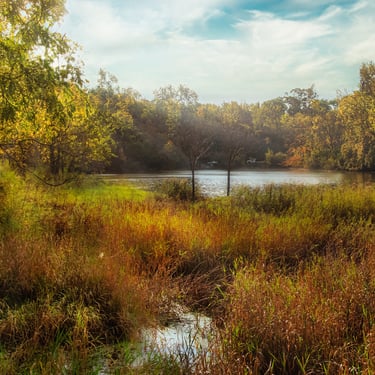fall landscape of the Cove pond.