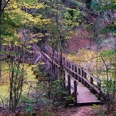 Walking bridge on the Fall.