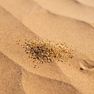 Macro photography of fine golden dune sand grains, warm natural desert lighting