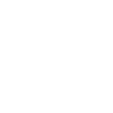 lion work group