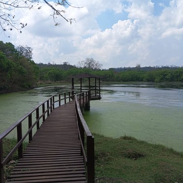 Kamaldah lake, Ranchi to Netarhat taxi, Ranchi Taxi, Ranchi cab service, Netarhat,