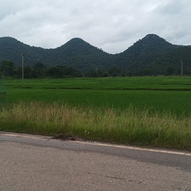 Netarhat, Taxi for Netarhat, Ranchi to Netarhat tour