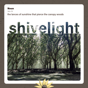 shivelight (the lances of sunshine that pierce the canopy woods