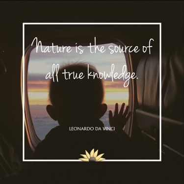 Nature is the source of all true knowledge. Leonardo Da Vinci