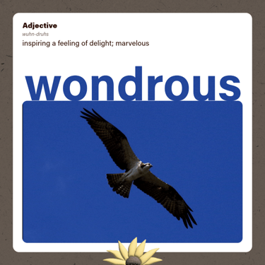 Wonderous (adjective) inspiring a feeling of delight; marvelous