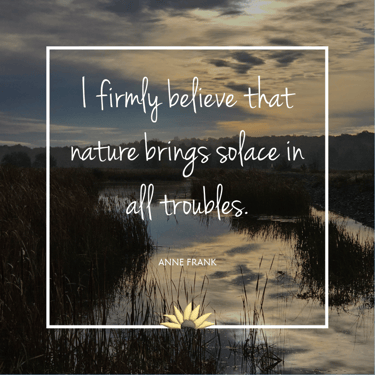 I firmly believe that nature brings solace in all troubles. Anne Frank