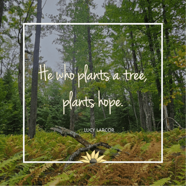 He who plants a tree, plants hope. Lucy Larcor