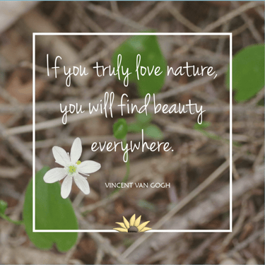 If you truly love natue you will find beauty everywhere. Vincent Van Gogh