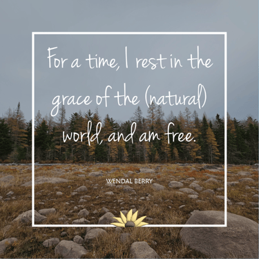 For a time, I rest in the grace of the (natural) world, and am free. Wendal Berry
