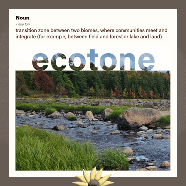 ecotone (noun) transition zone between two biomes, where communities meet and integrate