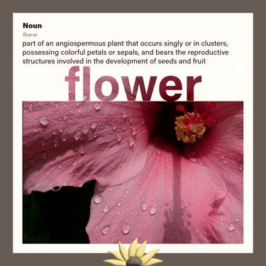 flower (noun) part of an angiospermous plant with petals or sepals and bears seeds or fruit