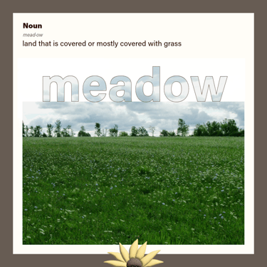 meadow (noun) land that is covered or mostly covered with grass