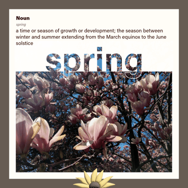 spring (noun) a time or season of growth or development, between winter and summer