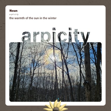 apricity (noun) the warmth of the sun on a winter day