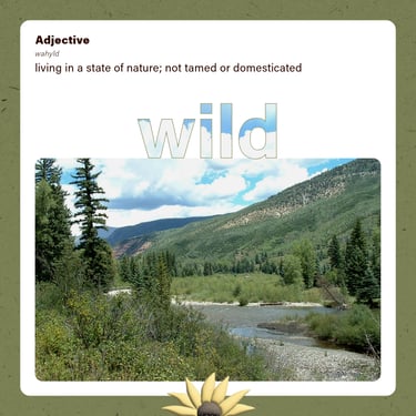 wild (adjective) living in a state of nature, not tamed or domesticated