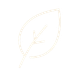A minimalist white outline icon of a leaf representing nature and sustainability on a black background.