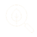 White line icon of a magnifying glass focusing on a leaf symbol on a black background for environmental research.