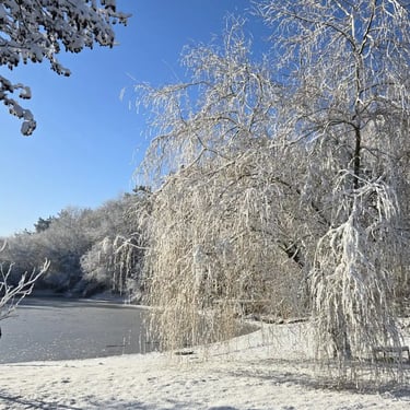 lac gele domaine du clody