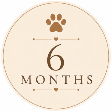 6-month subscription