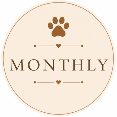 Monthly subscription